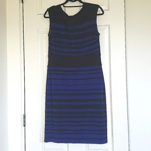 American Living Blue and Black Striped Dress